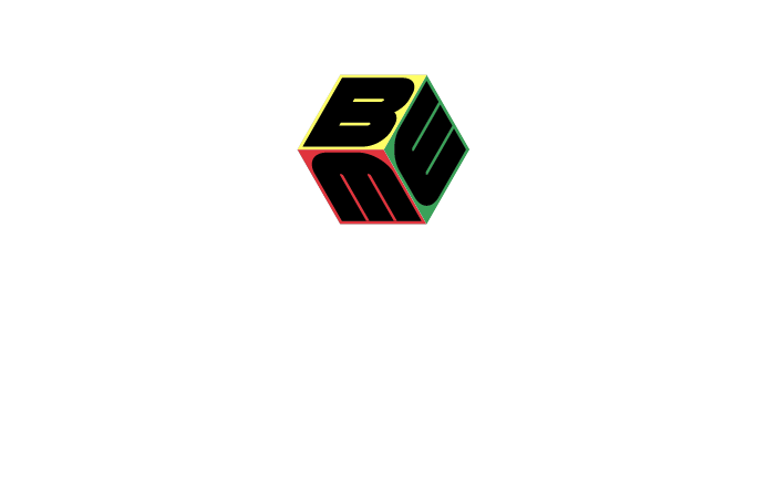 Black Males in Engineering